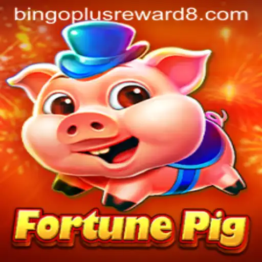 Exploring FortunePig: The Game That Brings Bingoplus Rewards to Life