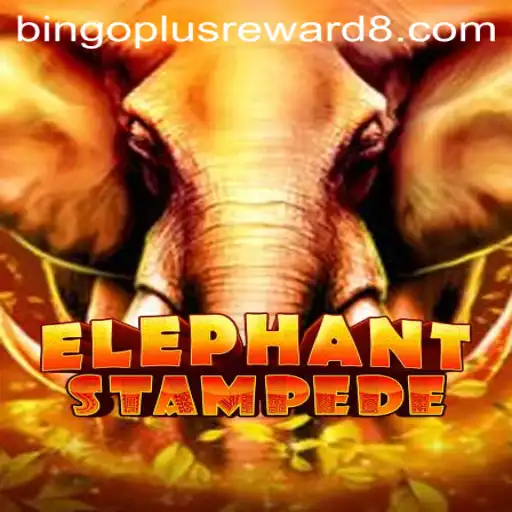 Exploring the Dynamic World of ElephantStampede and Bingoplus Reward