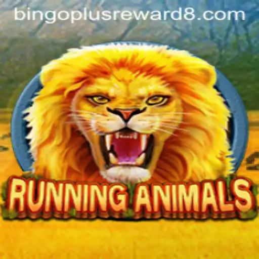 RunningAnimals: A Thrilling Adventure with Bingoplus Rewards