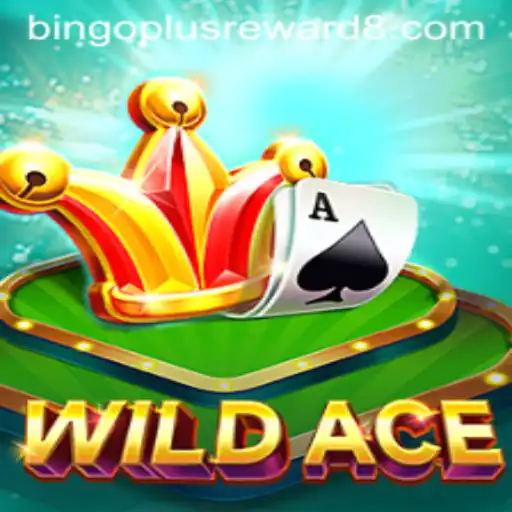 Exploring WildAce: An In-Depth Look at the Game and Bingoplus Rewards